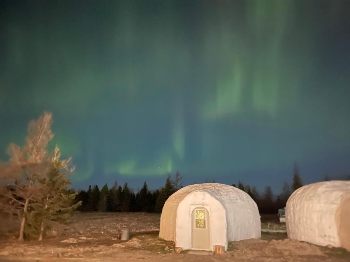 North Adventure Inn Cochrane Eksteriør billede