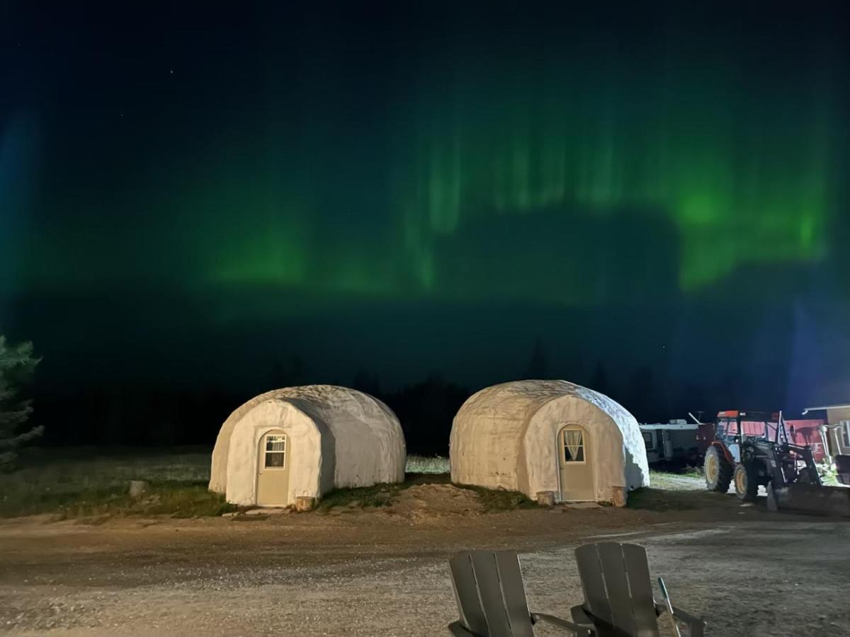 North Adventure Inn Cochrane Eksteriør billede